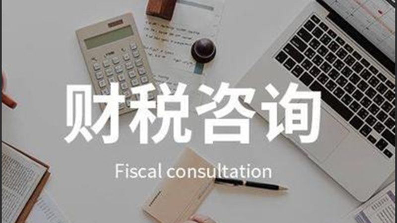 财税系统参数对比表：企业合规管理的利器